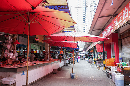 夏日自然风景图片