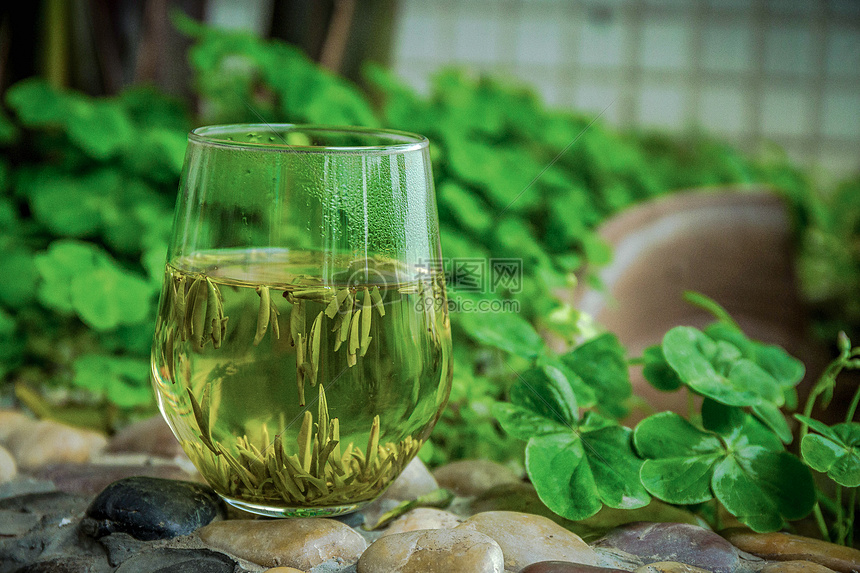 清茶
