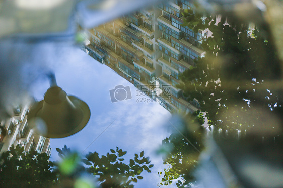 夏雨后的街道风景图片