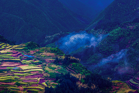 深山云雾高山里的五色梯田背景