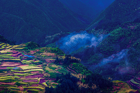 高山里的五色梯田背景图片