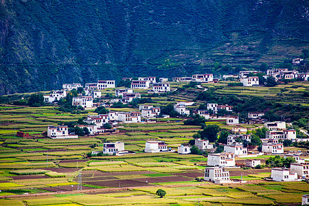 藏族民居藏式村落高清图片
