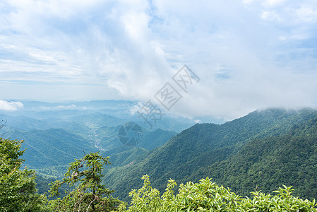 西天目山风光图片素材