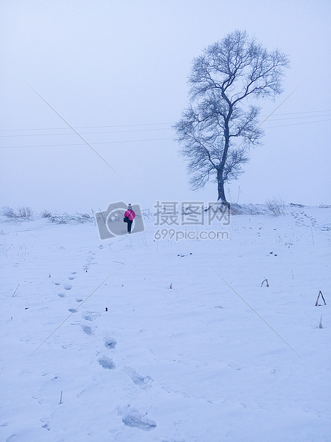 ‘~那年冬天雾凇岛踏雪  ~’ 的图片