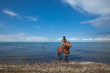 骑马的人青海湖牵马的人高清图片