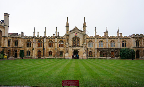 草地石头英国剑桥大学背景