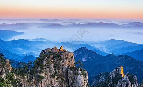 猴子观海黄山风景高清图片