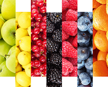 蓝莓水果集合设计图片