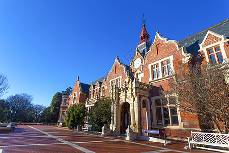 新西兰建筑新西兰林肯大学背景