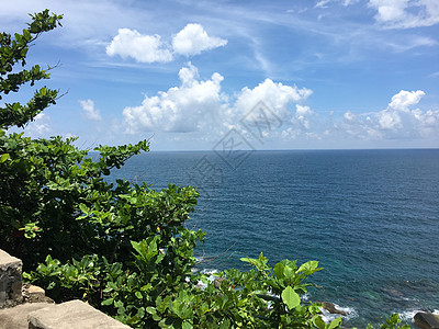 三亚海边旅游椰子林高清图片