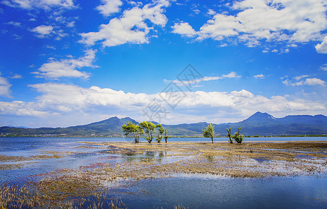 丽江玉湖村丽江拉市海湿地背景