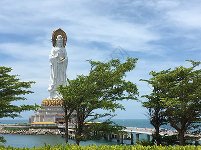 南海观音龙血树小南山高清图片