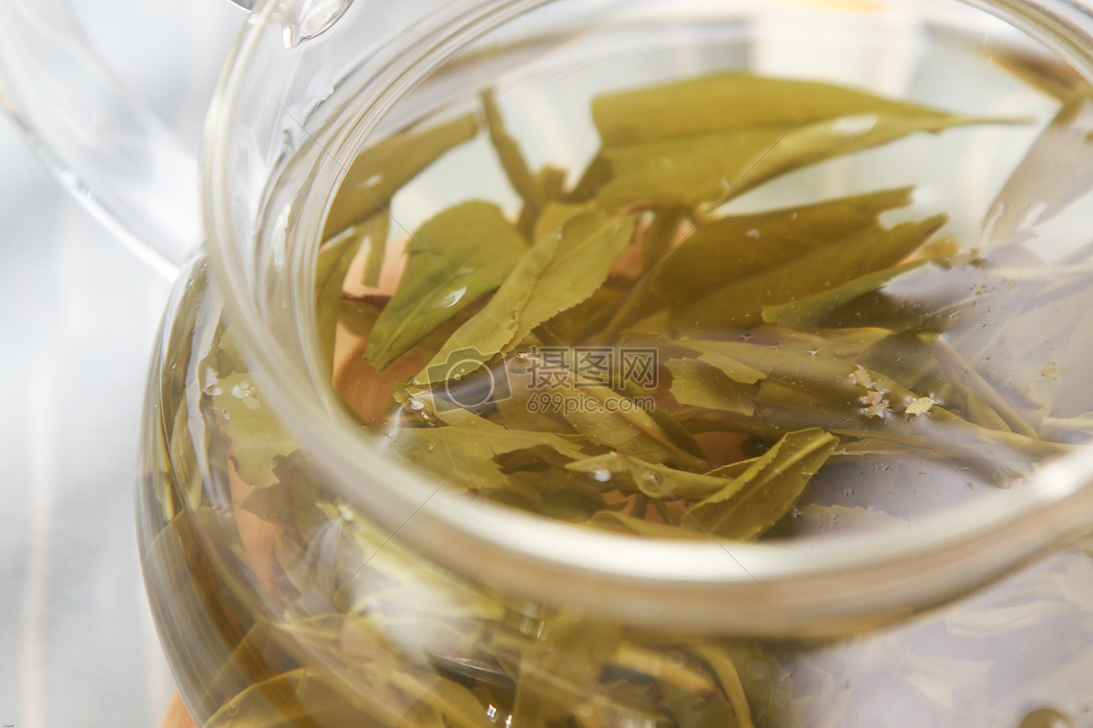 最好的福鼎白茶在什么位
