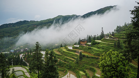 阳台看风景黔东南的梯田和晨雾背景