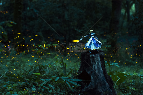 萤火虫夏夜美景