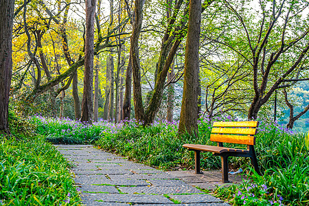 长条凳早晨晨光公园内林荫小道背景
