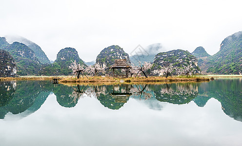 海珠湖湿地公园普者黑三生三世十里桃花背景