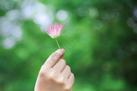 手拿app图片_手拿app素材_手拿app高清图片