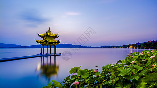 杭州夜景西湖集贤亭与荷花背景