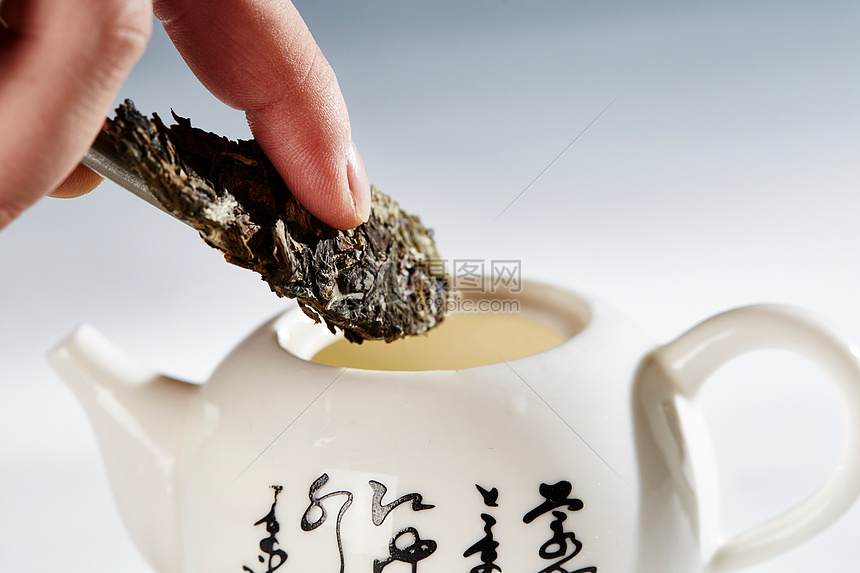 老君眉茶泡茶图片