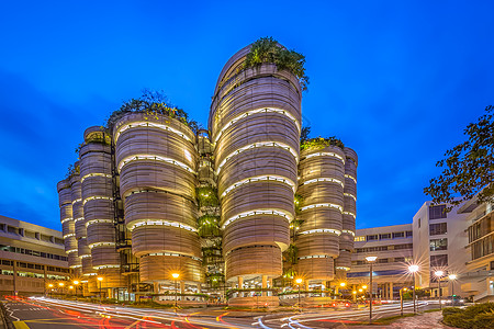 城市星迹新加坡南洋理工大学背景