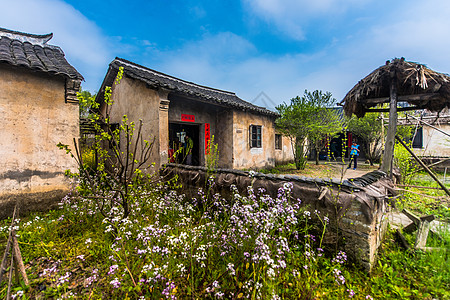 梅花剪纸嘉兴梅花洲庄桥村茅屋背景