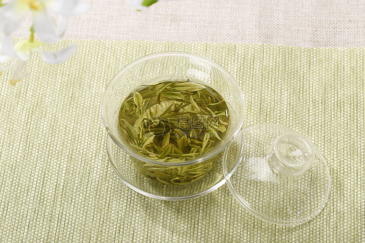 新白茶好还老白茶好