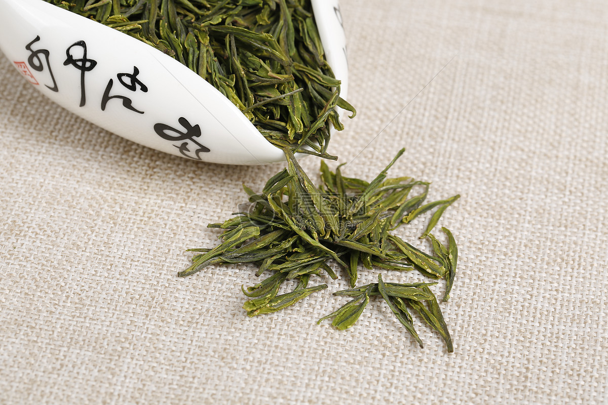 龙井白茶有什么功效_功效