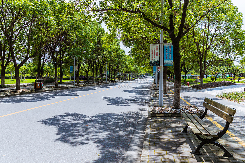 上海华东政法大学校园路图片