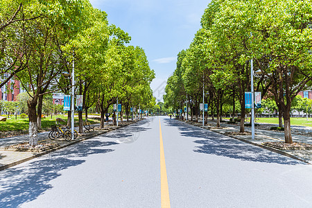 校园道路上海华东政法大学校园路背景