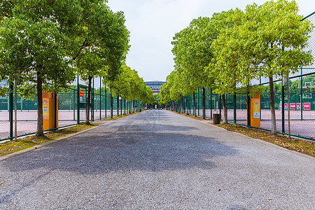 校园道路上海大学操场防护网背景