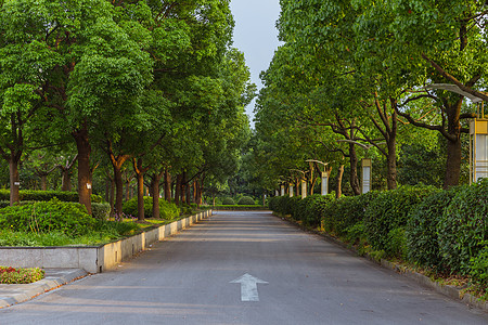 上海视觉艺术学院校园路高清图片