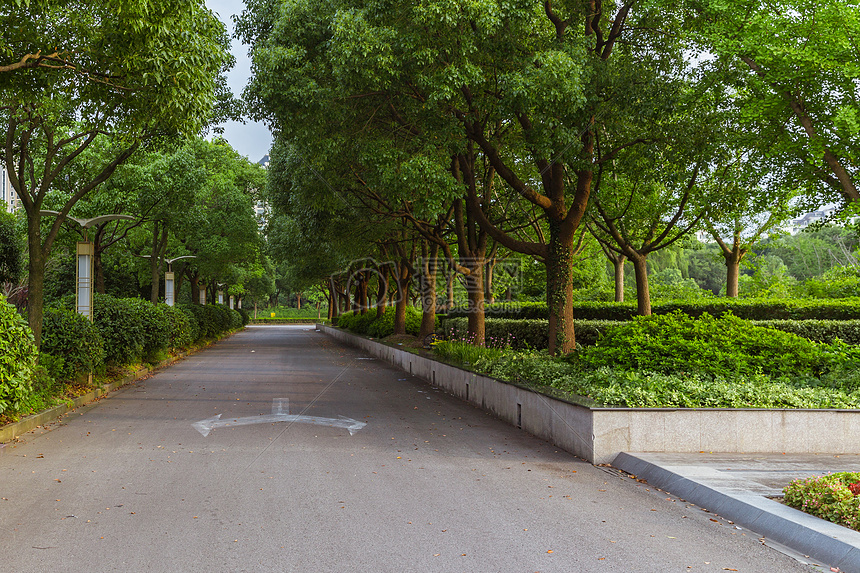 上海视觉艺术学院校园路图片