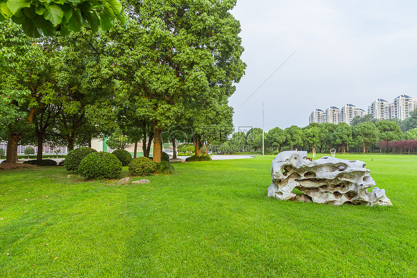 上海大学校园草地假石设计