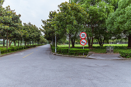 行走侧面上海视觉艺术学院校园路背景