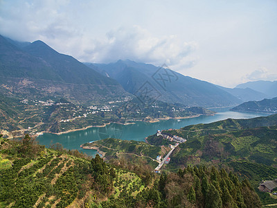 秋天的果园果林背景