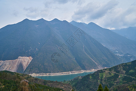 山上果园果林背景