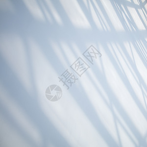 全息投影投射在白墙上的阳光背景