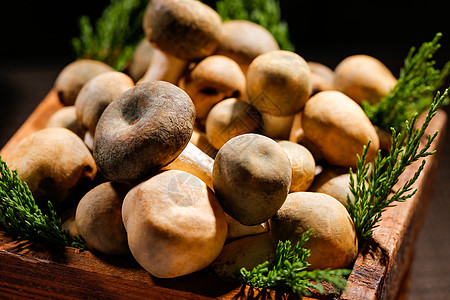 蘑菇美食木盒里的菌菇背景