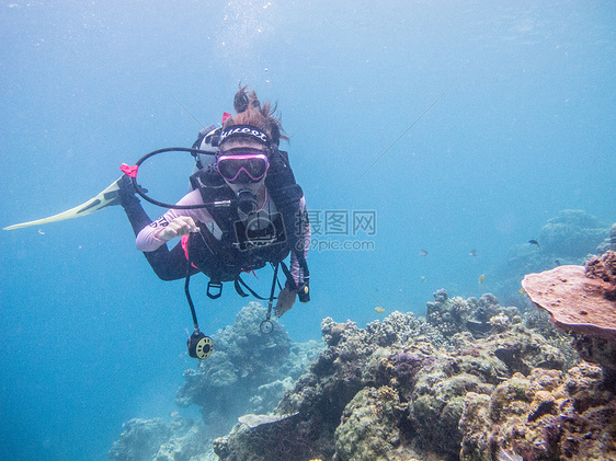 潜水海洋潜水员图片