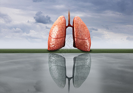 健康肺部与肺癌创意图背景图片