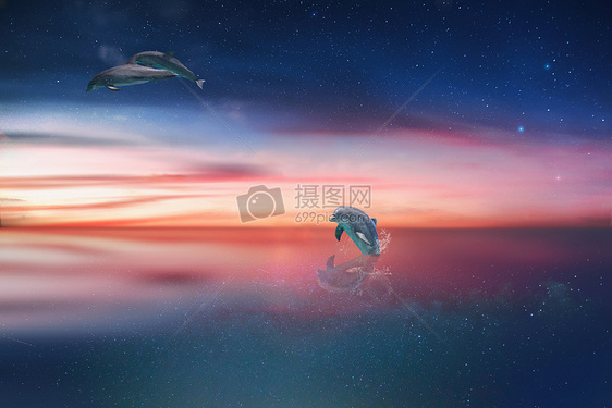 海豚飞跃湖面图片