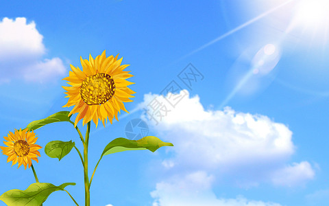 积极乐观代表希望的微笑的太阳花设计图片
