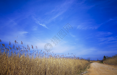 夏风风轻云淡背景