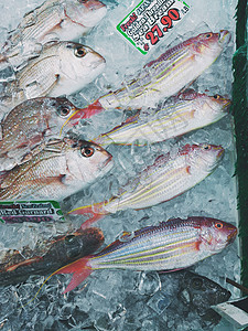 鱼市上冷冻的新鲜鱼背景图片