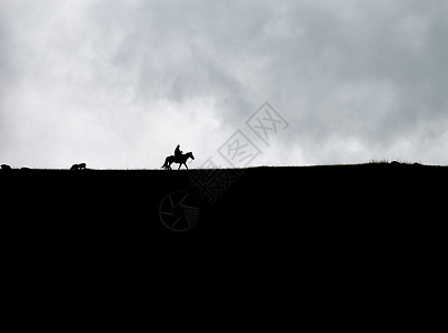 诗意画新疆草原骑马骏马乌云剪影牧羊人背景