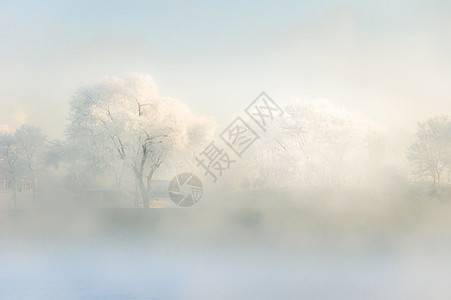 冰雪皇后松花江上清晨的雾凇背景