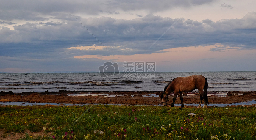 青海黑马河图片