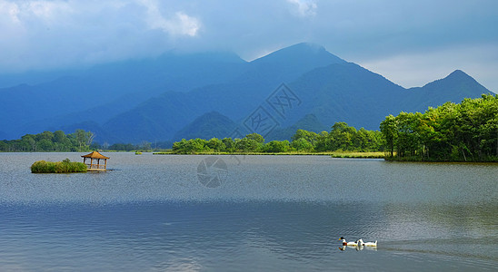 世界那么大神农架大九湖背景