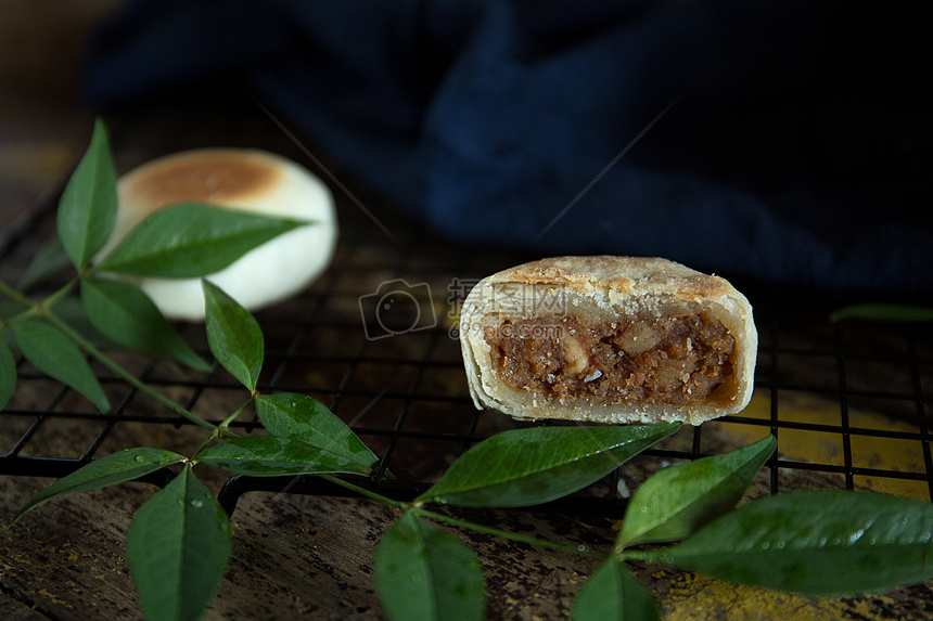 苏式肉丝馅月饼图片